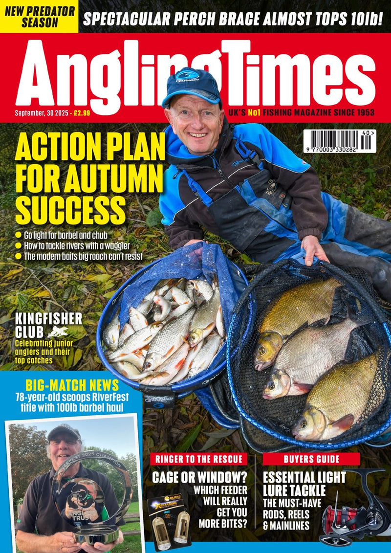 issue image