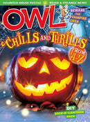 issue image