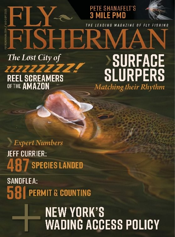issue image