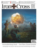 issue image