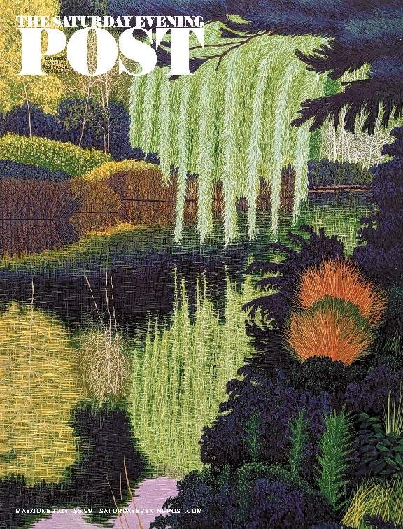 issue image