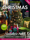 issue image