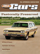 issue image