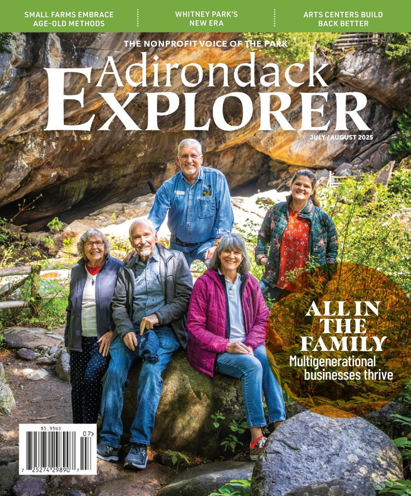 issue image