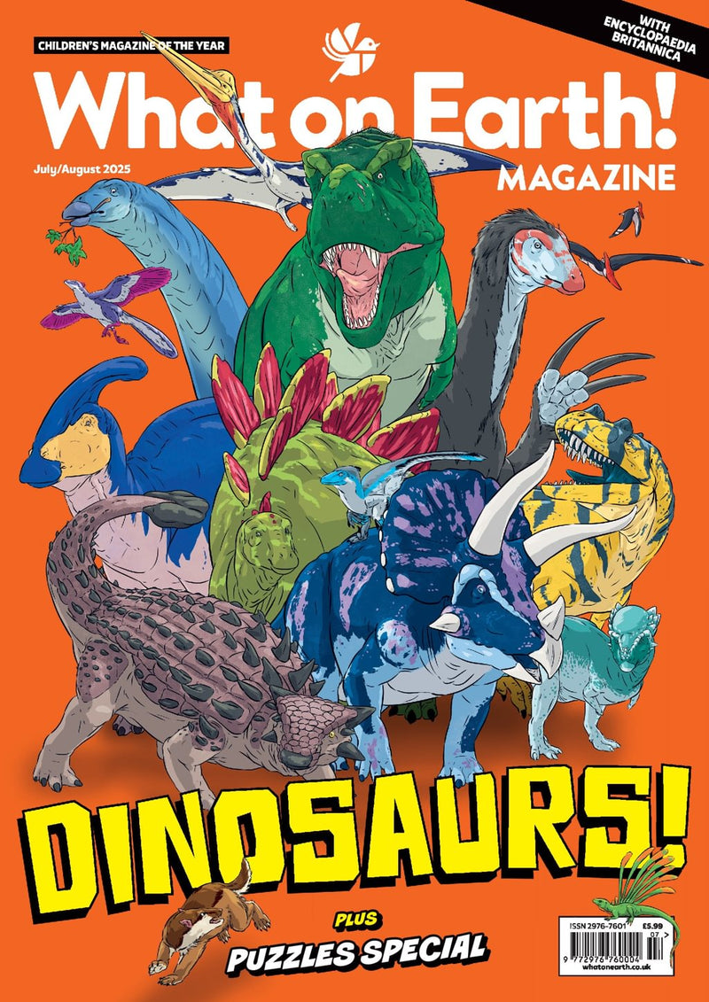 issue image