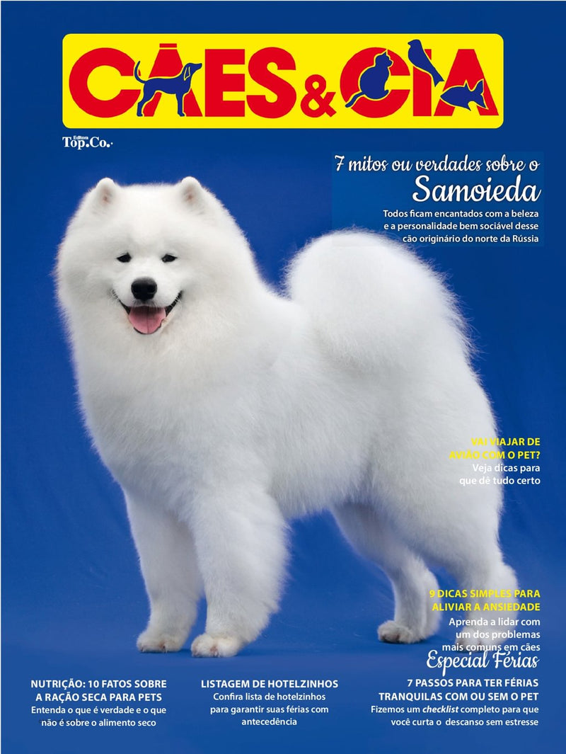 issue image