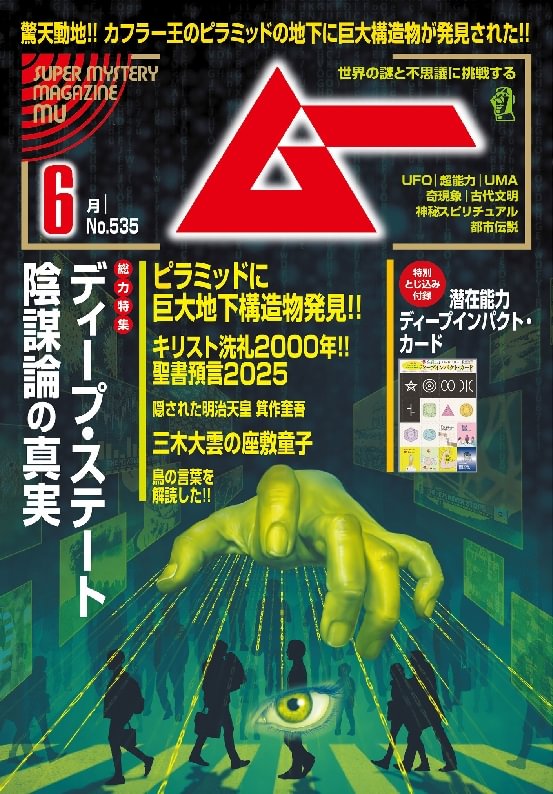 issue image