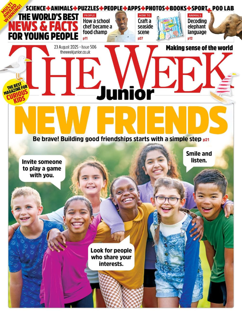 issue image