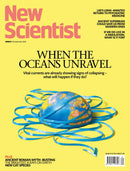 issue image