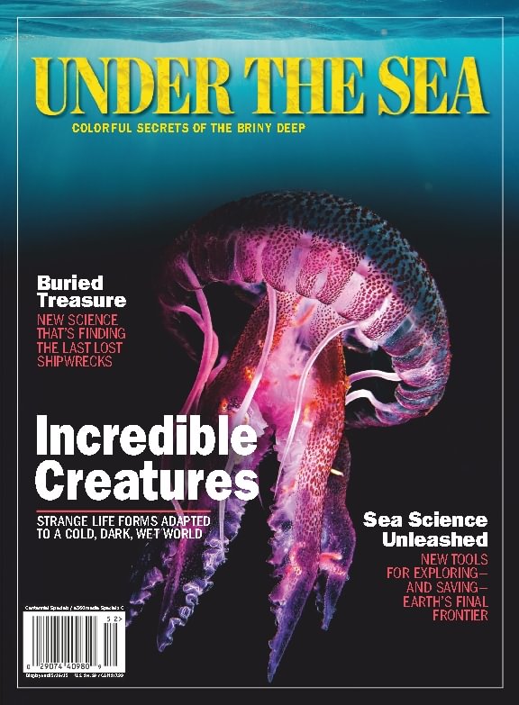 issue image