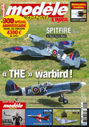 issue image