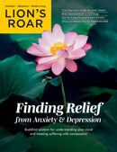 issue image
