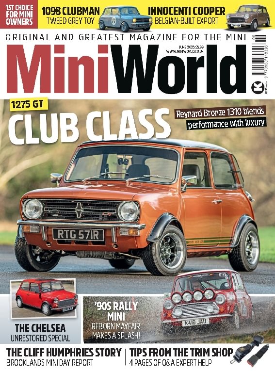 issue image