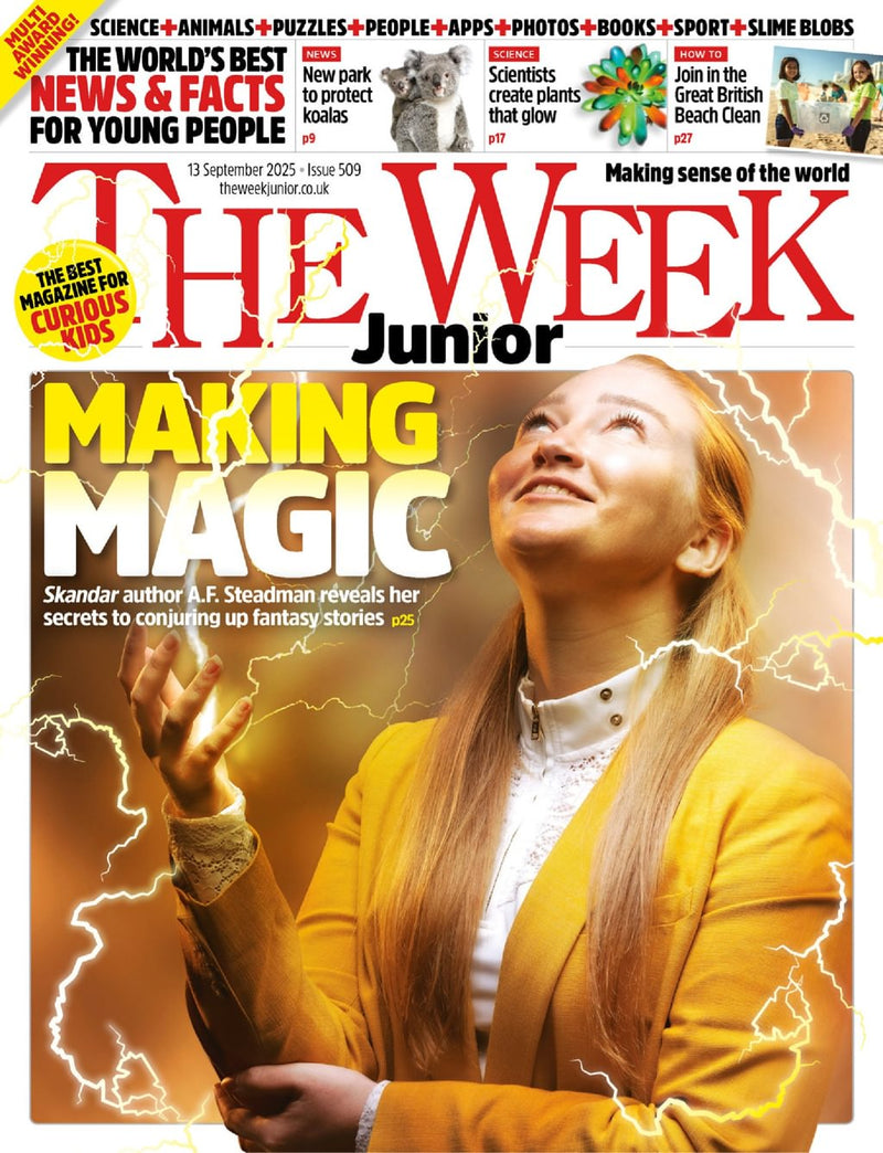 issue image