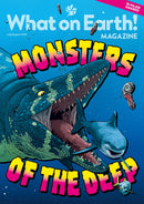 issue image
