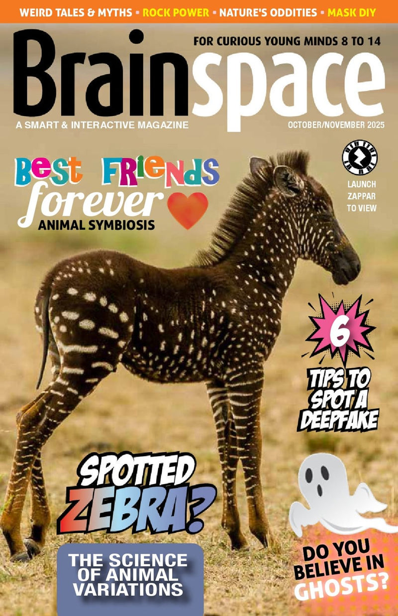 issue image