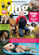 issue image