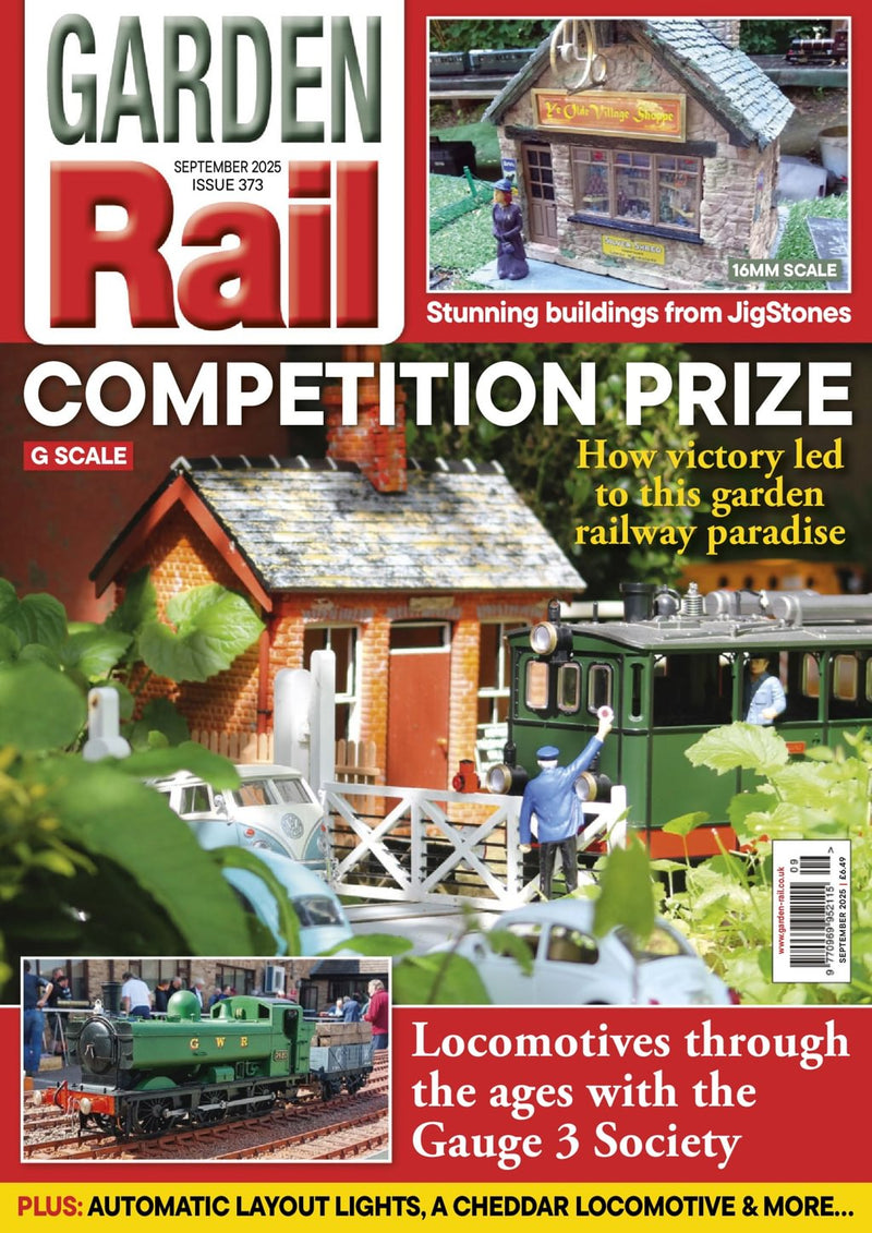 issue image