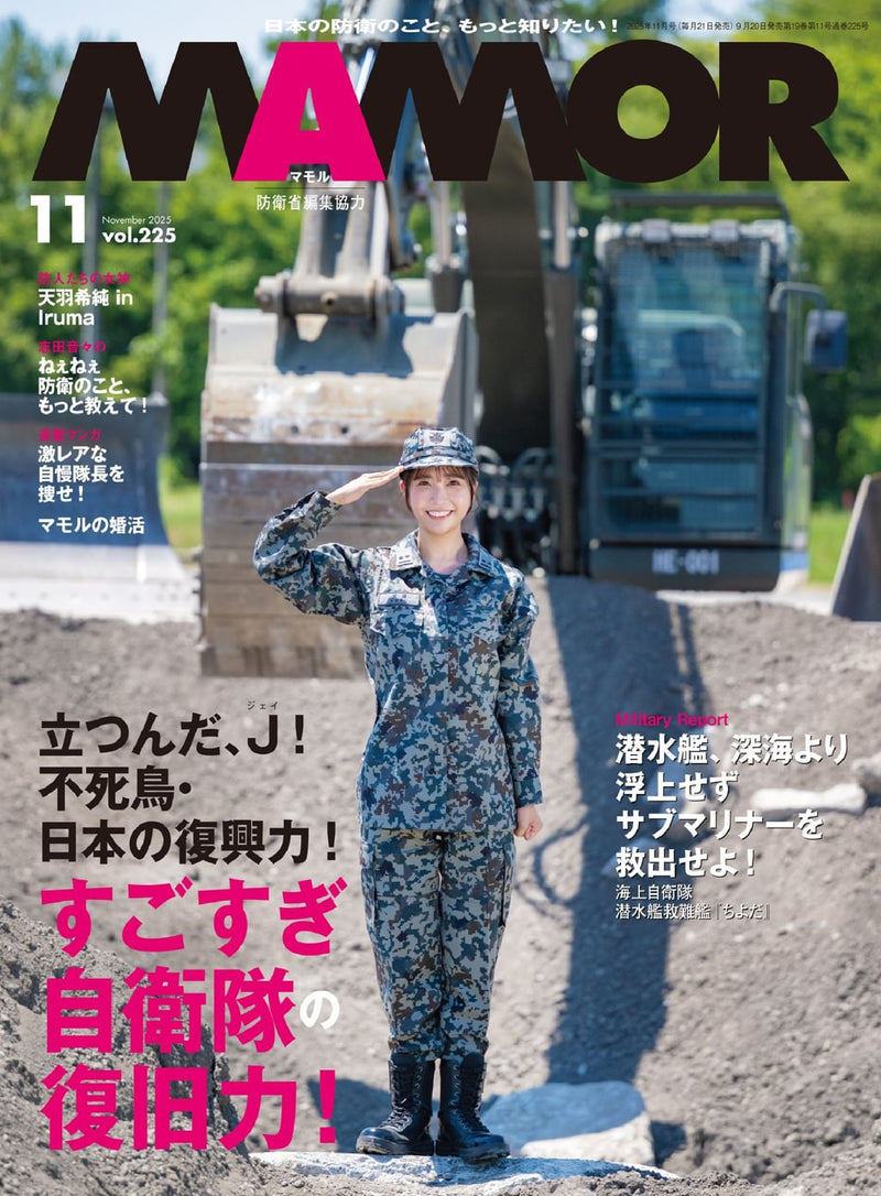 issue image