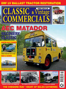 issue image