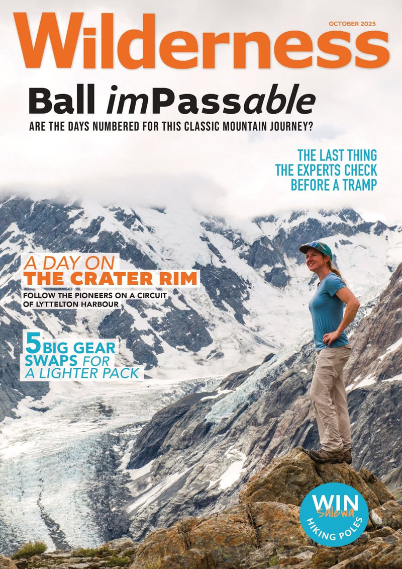 issue image