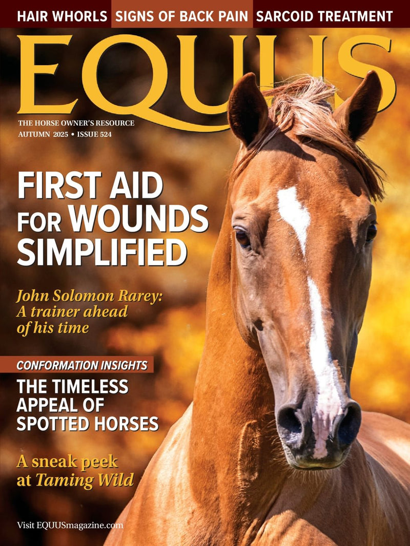 issue image