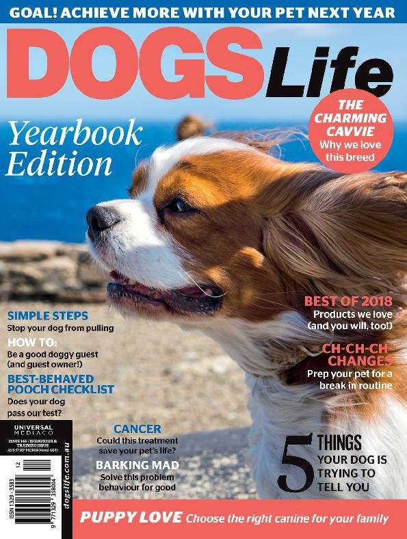issue image
