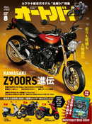 issue image