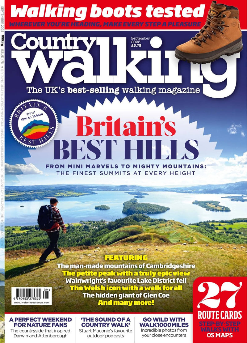issue image