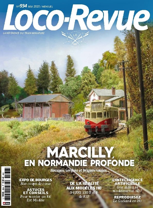 issue image