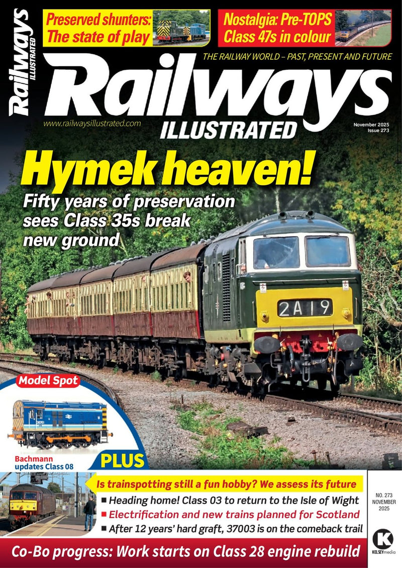 issue image
