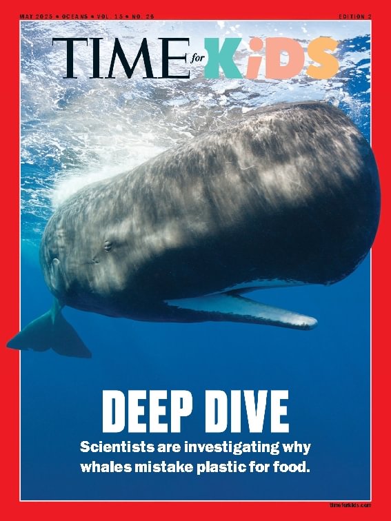 issue image