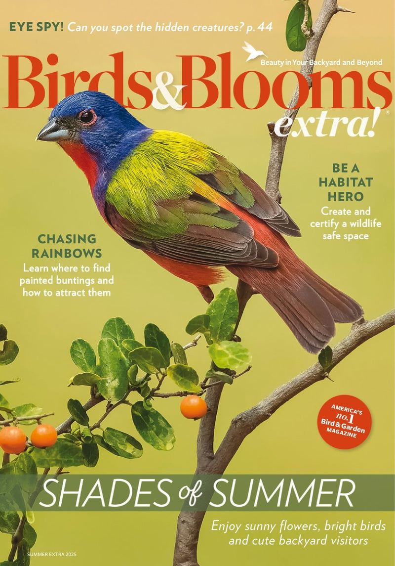 issue image