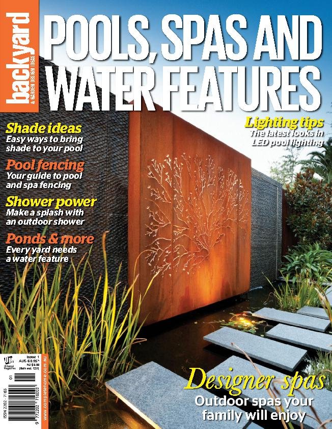 issue image