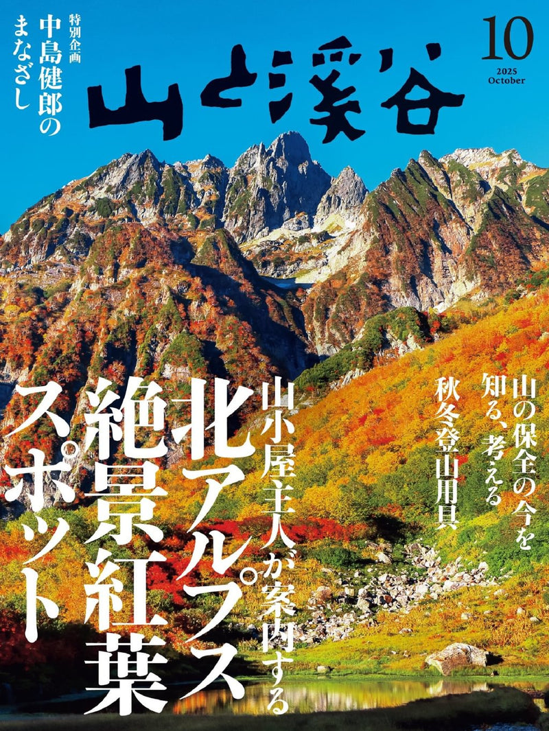 issue image