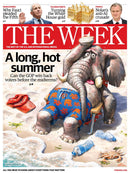 issue image