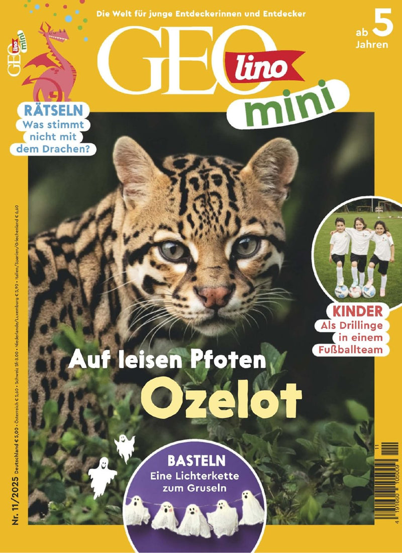issue image