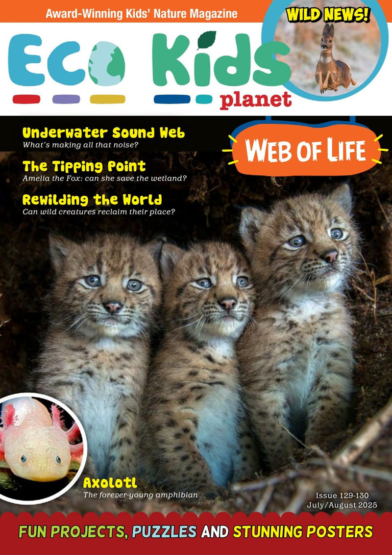 issue image