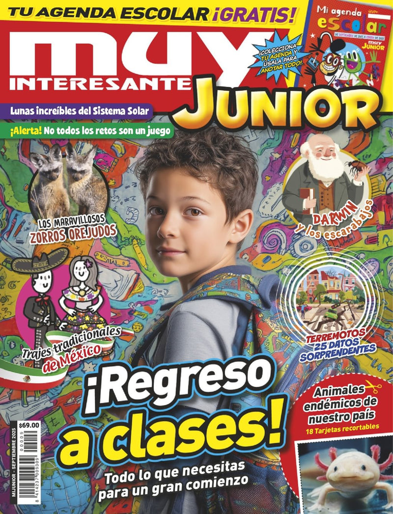 issue image
