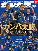 issue image