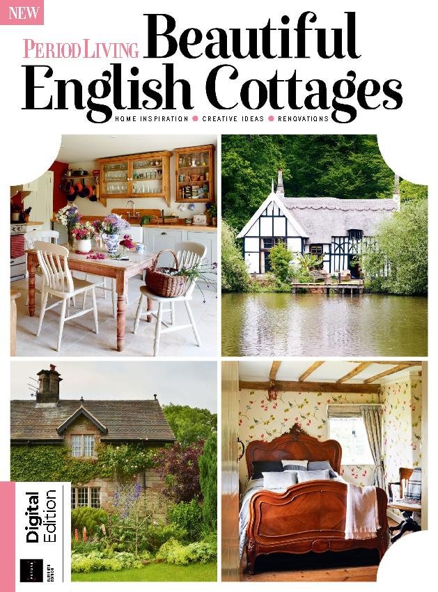 issue image