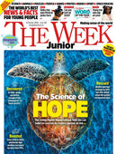 issue image