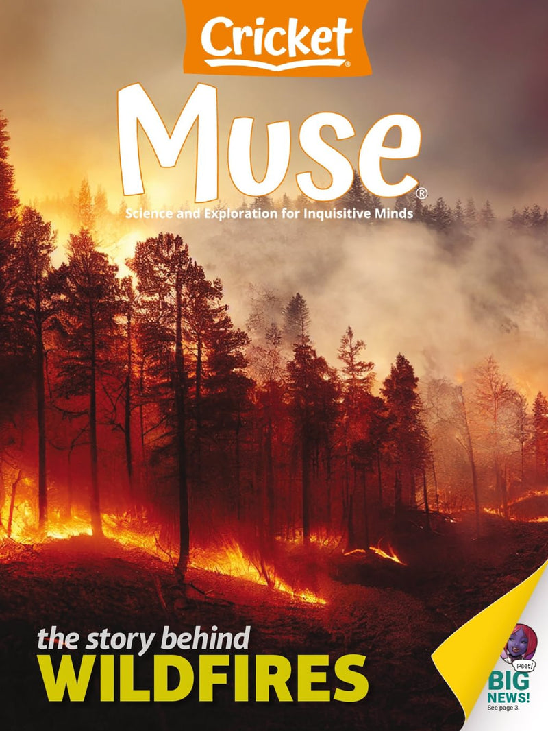 issue image