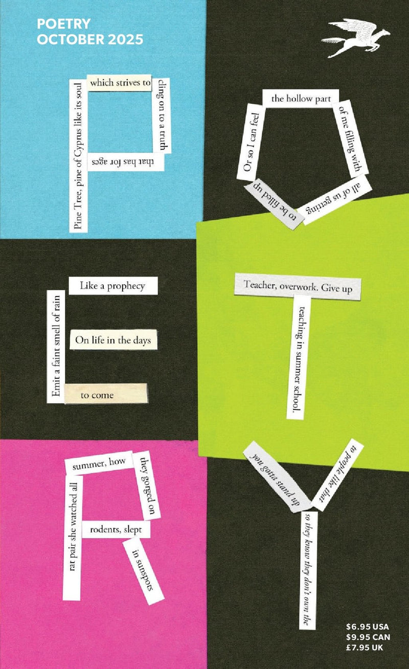 issue image