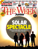 issue image