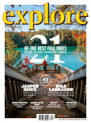 issue image