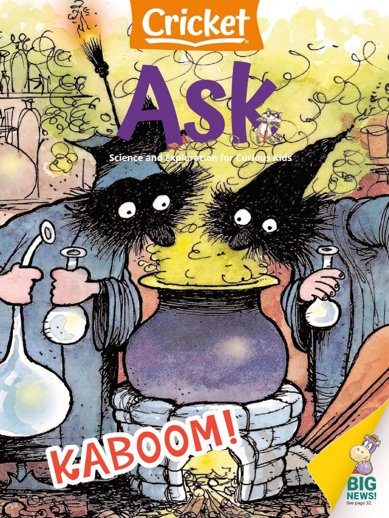 issue image