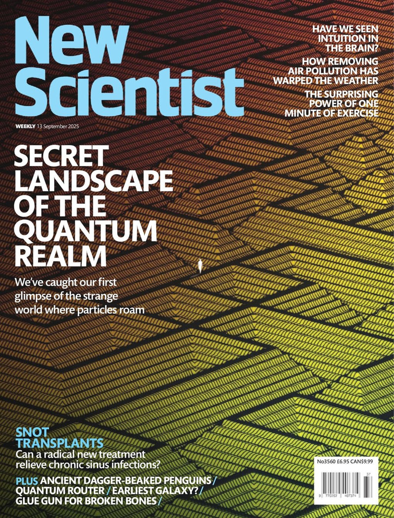 issue image