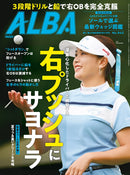 issue image