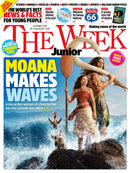 issue image